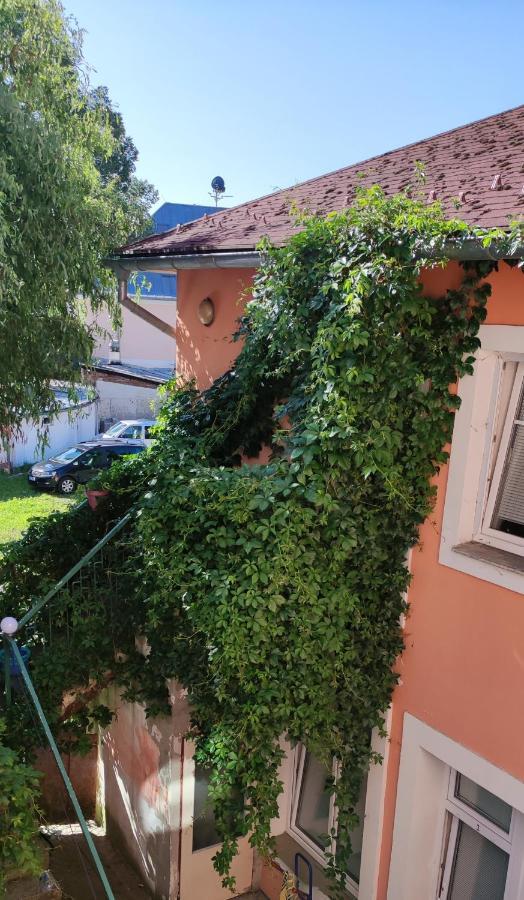 Penzion Libertas Mariánské Lázně Kültér fotó