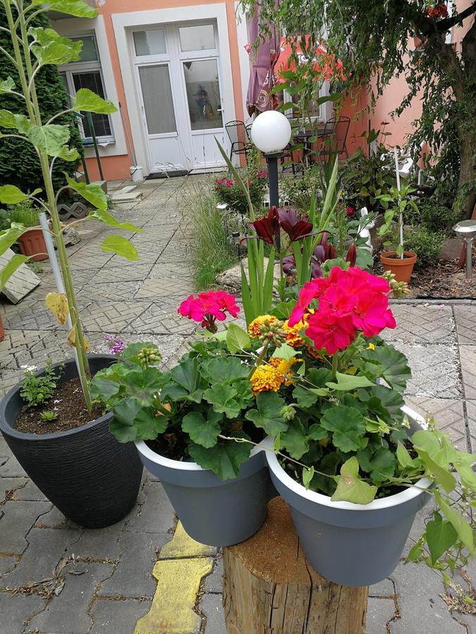Penzion Libertas Mariánské Lázně Kültér fotó